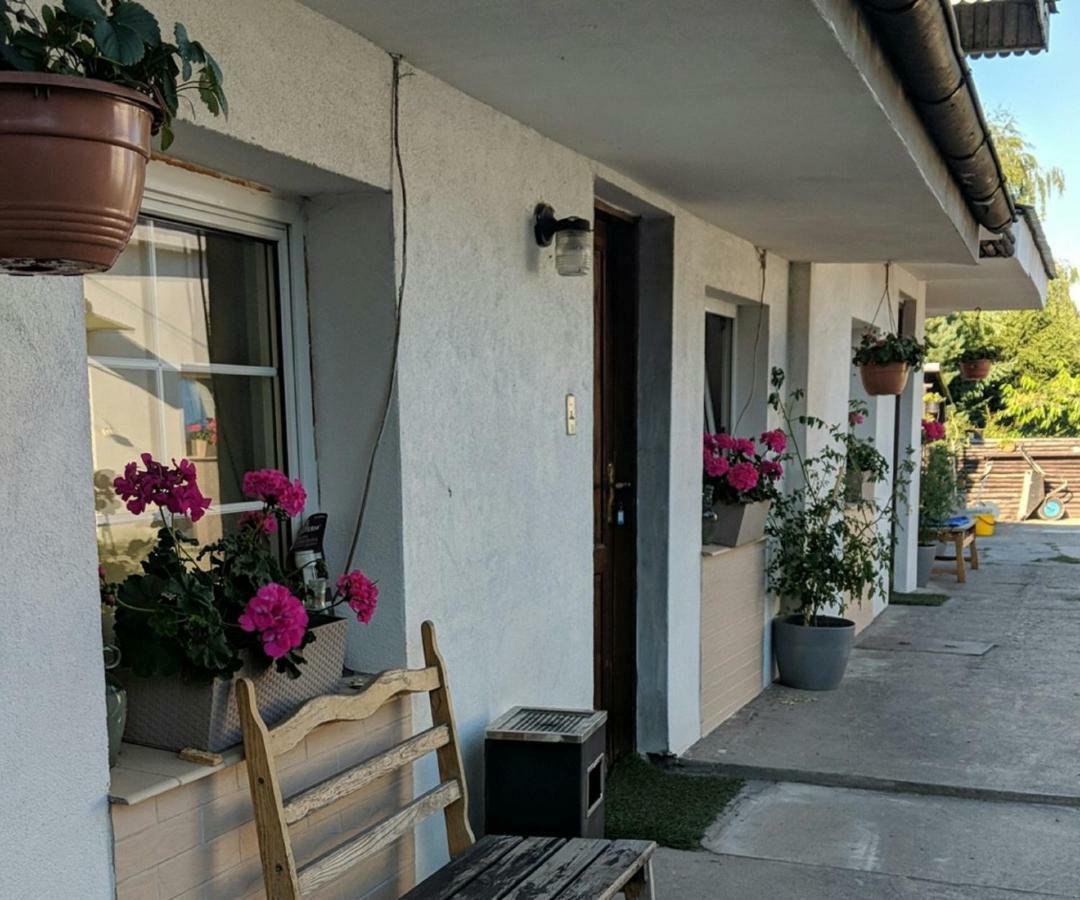 Homestay Przy Warszawskiej *
